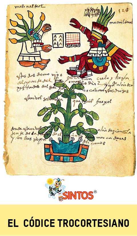 La miel de abeja en la cultura maya. El códice trocortesiano.