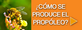 ¿Cómo producen las abejas el propóleo?