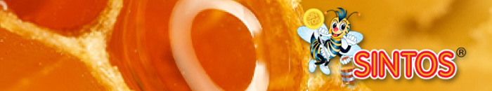 SINTOS