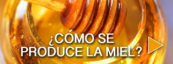 ¿Cómo se produce la miel?
