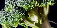 Brócoli - alto en vitamina c