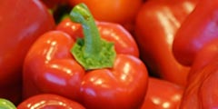 Pimiento rojo - alta en vitamina c