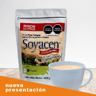 Leche de almendra Almondrik