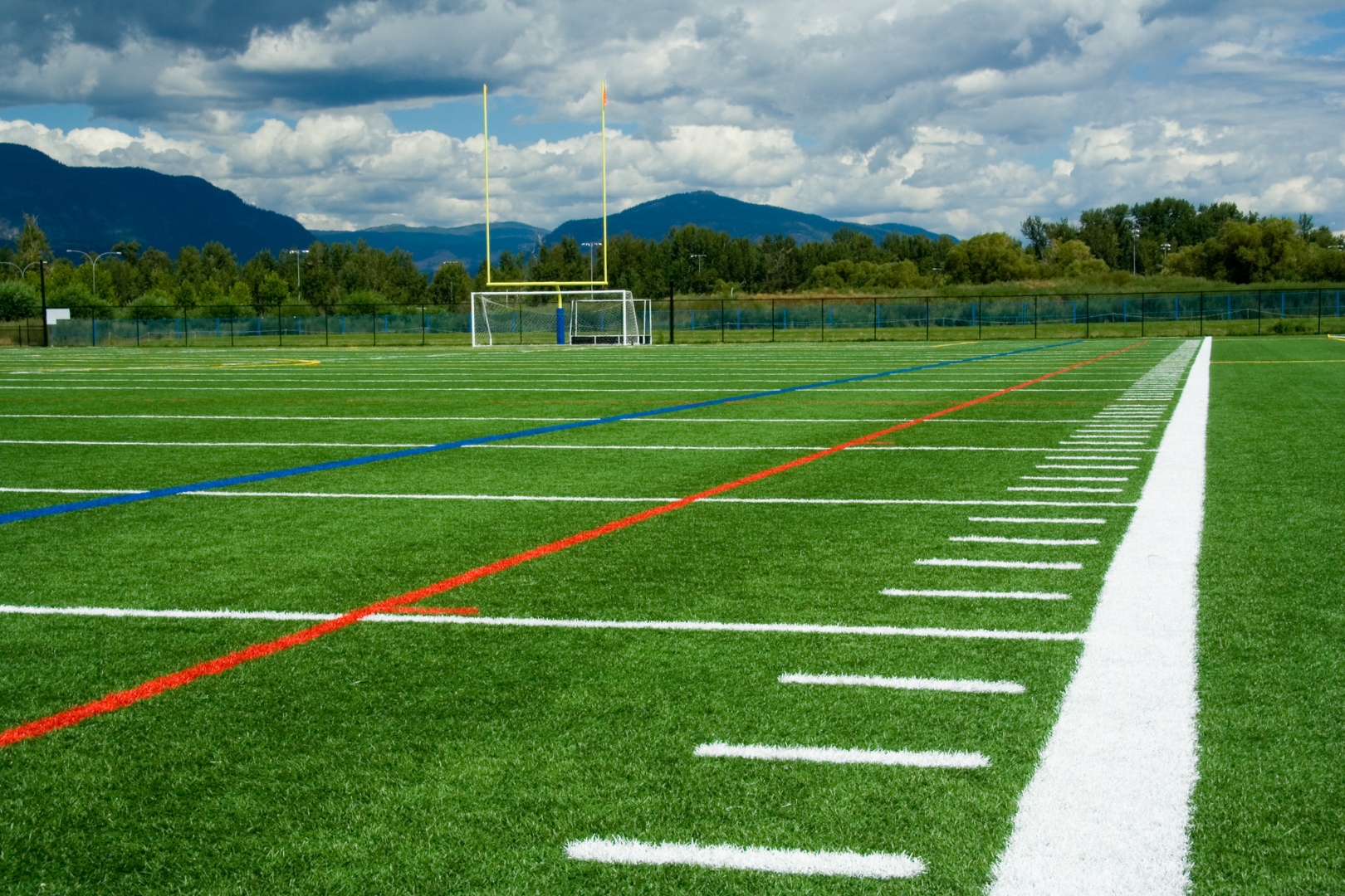 Sports Turf Installation