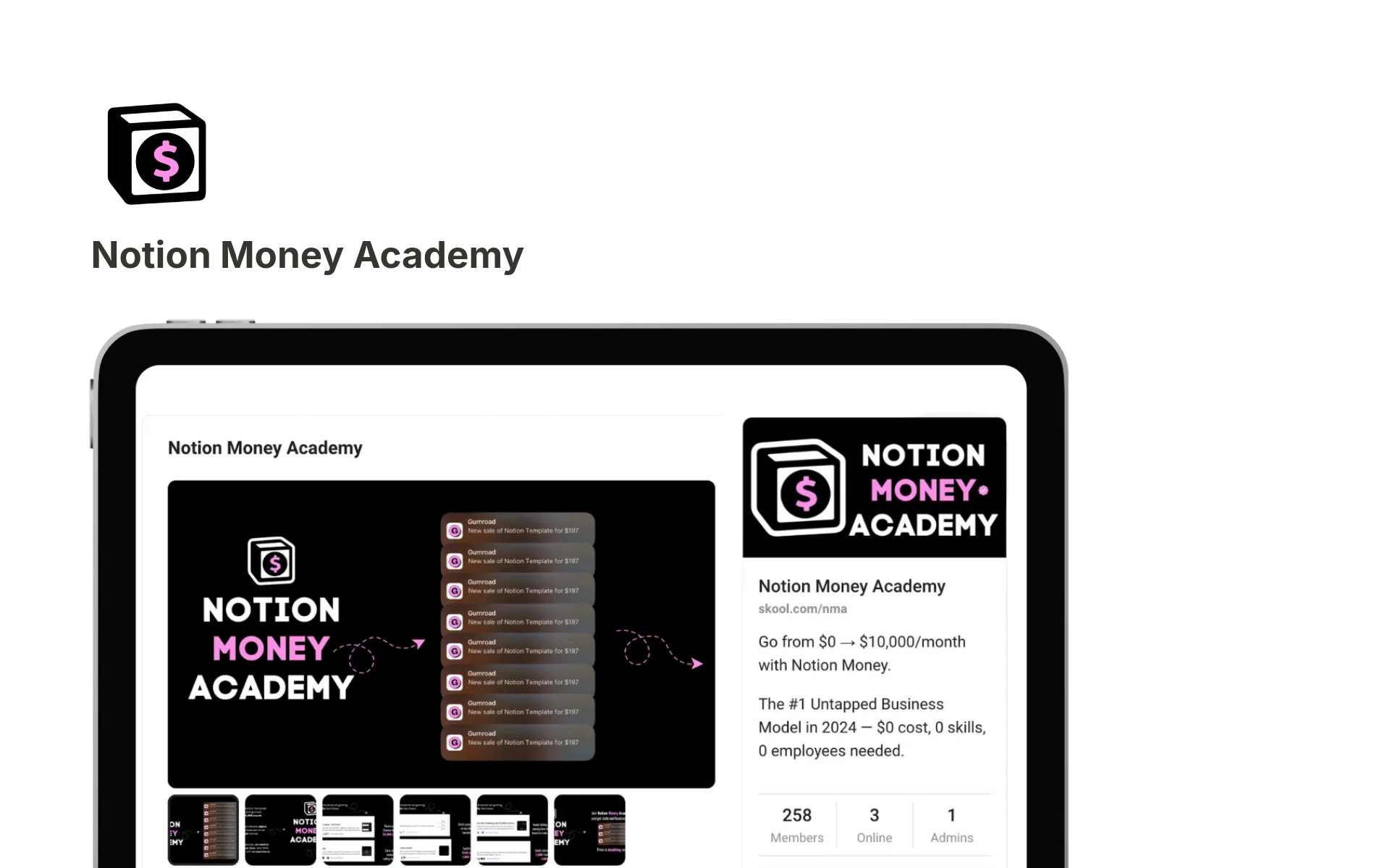 Notion Money Academy - Pascio Download