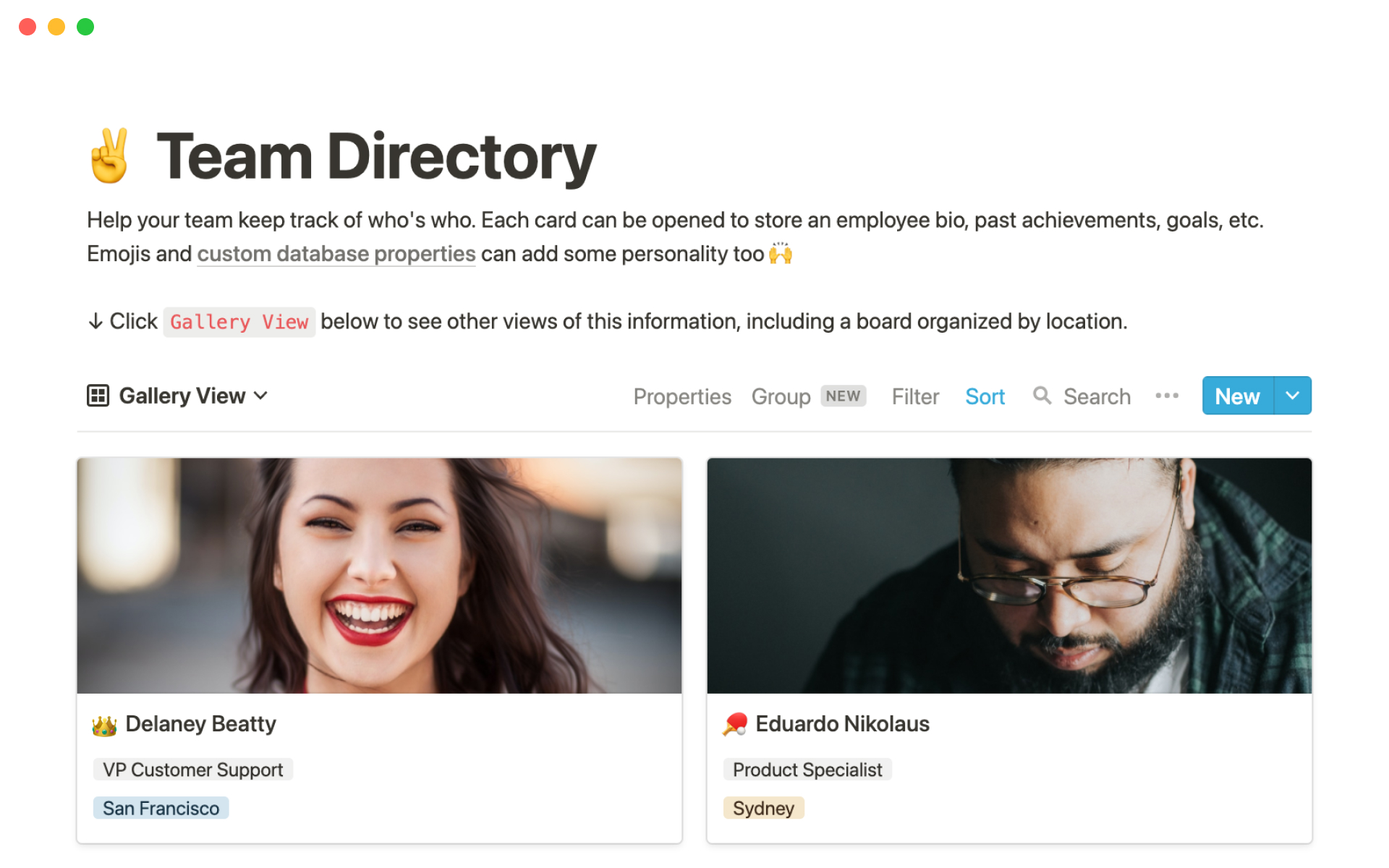 Team directory (by Notion) のプレビュー
