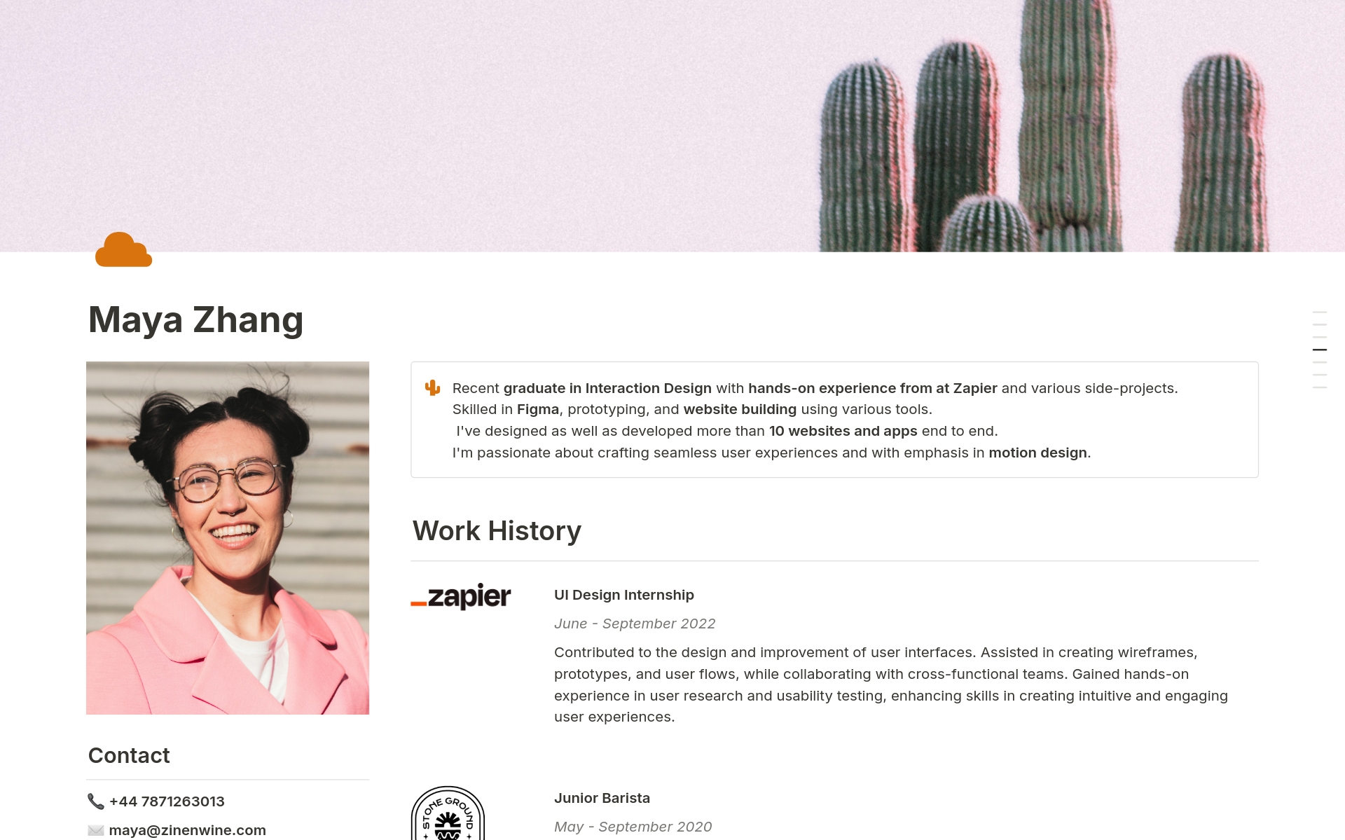 Online Resume のプレビュー