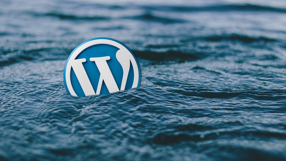 Should I Use Wordpress?