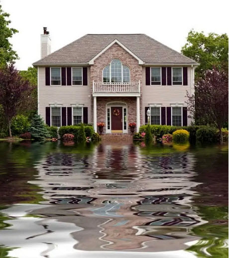 Water Damage Restoration Professional