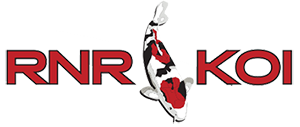 logo2-1