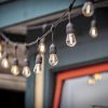 Anjon (12) 1-Watt String Lights