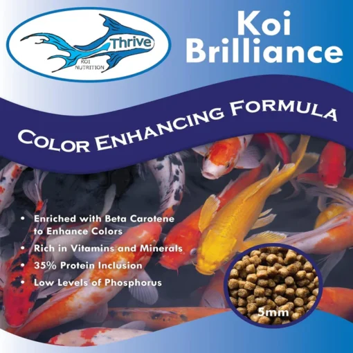 Anjon Thrive Koi Brilliance - Color Enhancing Formula - Image 2