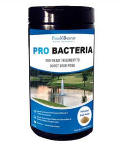 Anjon Pond Rescue Professional Beneficial Bacteria