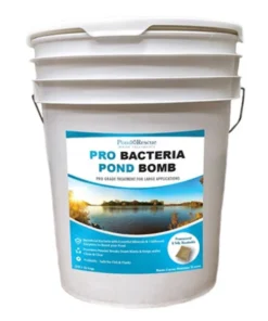 Anjon Pond Resuce Professional Dry Bacteria