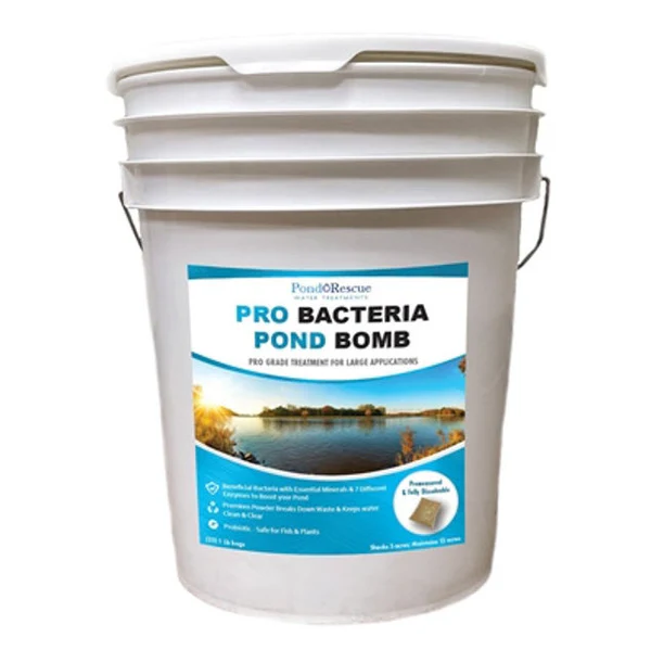 Anjon Pond Resuce Professional Dry Bacteria