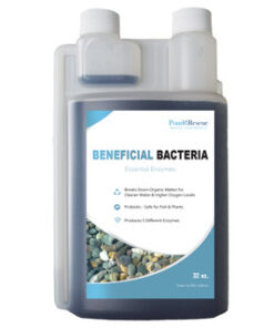 Anjon Pond Rescue Beneficial Bacteria