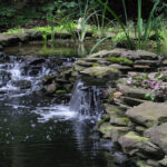 EasyPro EasyBog Pond Filtration Kit – Up to 5000 Gallons