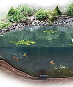EasyPro Pro-Series Small - Complete Kit for 6′ x 6′ Pond