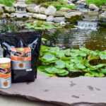 EasyPro Platinum Koi & Goldfish Food - Cold Weather Food