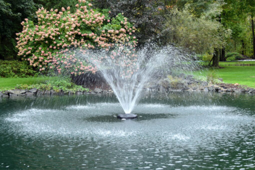 Easy Pro Aqua Fountain