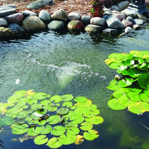 Easy Pro Pro-Clear Aire™ Aeration Compressor - Image 2