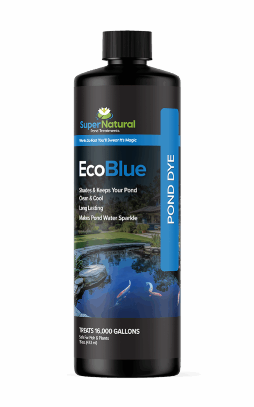 SuperNatural ECOBLUE - 16OZ