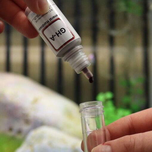 NT Labs Hardness Test Kit - Image 3