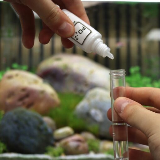 NT Labs Phosphate Test Kit - Image 3