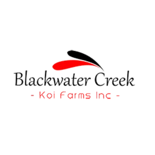 Blackwater Creek