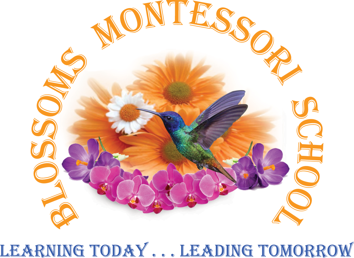 Blossoms Montessori School