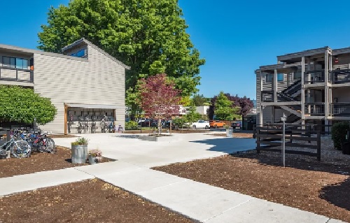 A sunny courtyard between modern apartment buildings with bikes parked on the left, a few trees, and a clear blue sky overhead. Concrete walkways divide landscaped areas with fresh soil.