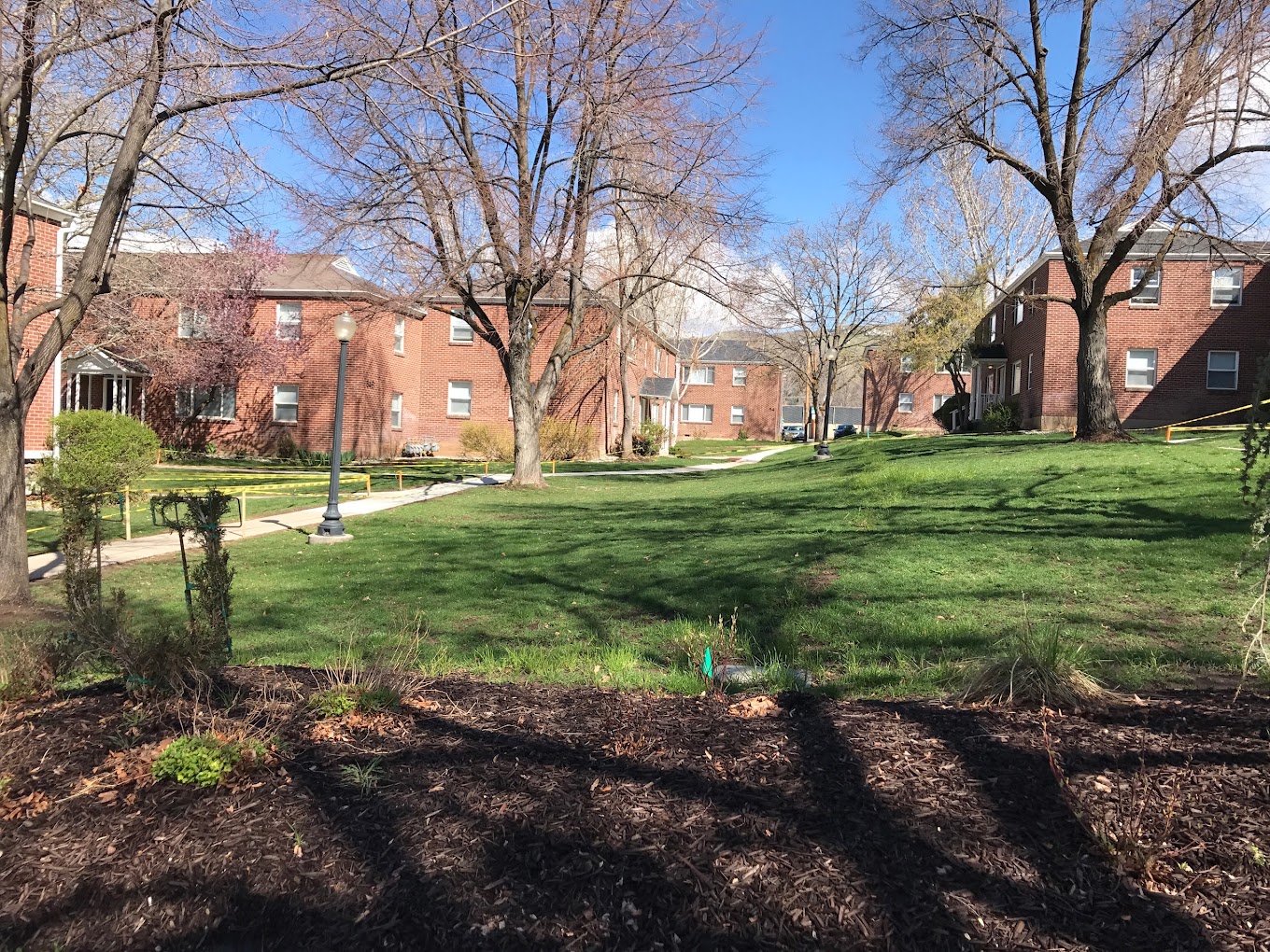 A grassy courtyard at University Gardens Apartments in Salt Lake City, surrounded by brick buildings and leafless trees under a blue sky, with sunlight casting shadows on the lawn and mulch beds in the foreground.