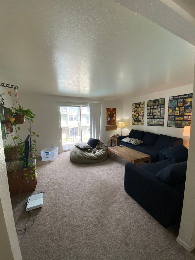 A cozy living room at Old Mill with carpeted floor, two dark blue couches, a bean bag, a wooden coffee table, and a TV. Plants and posters by JosephThomas decorate the space. A large window lets in natural light.