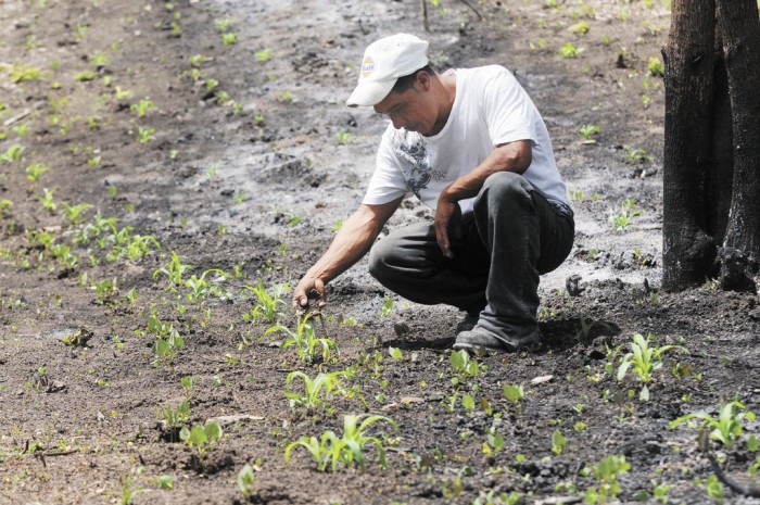 Sociedad civil propone Ley de Cambio Climático