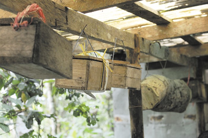 Productores aprenden a medir el clima