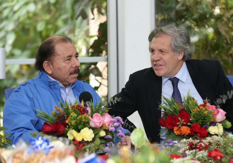 Más críticas a OEA por acuerdo con Ortega