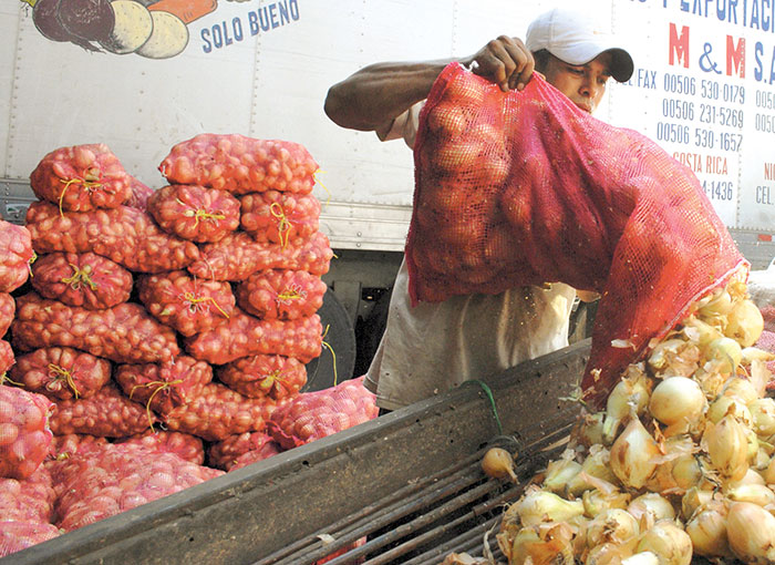 Se dispara el precio de la cebolla en Nicaragua