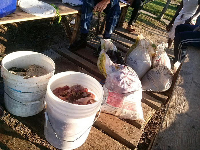 Decomisan carne de tortuga en Bluefields