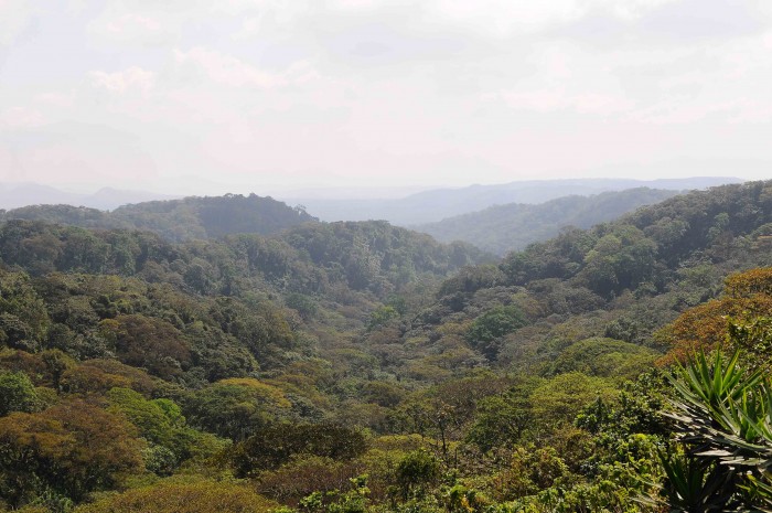 Despale es el enemigo de la Cuenca Sur de Managua