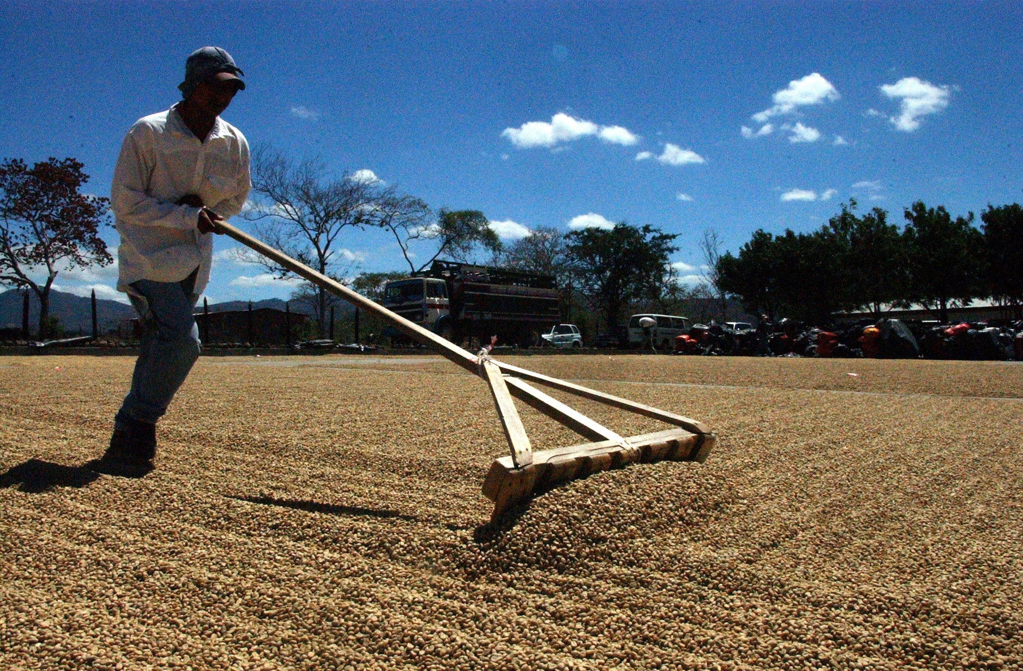 La caficultura ahora tiene una plataforma nacional