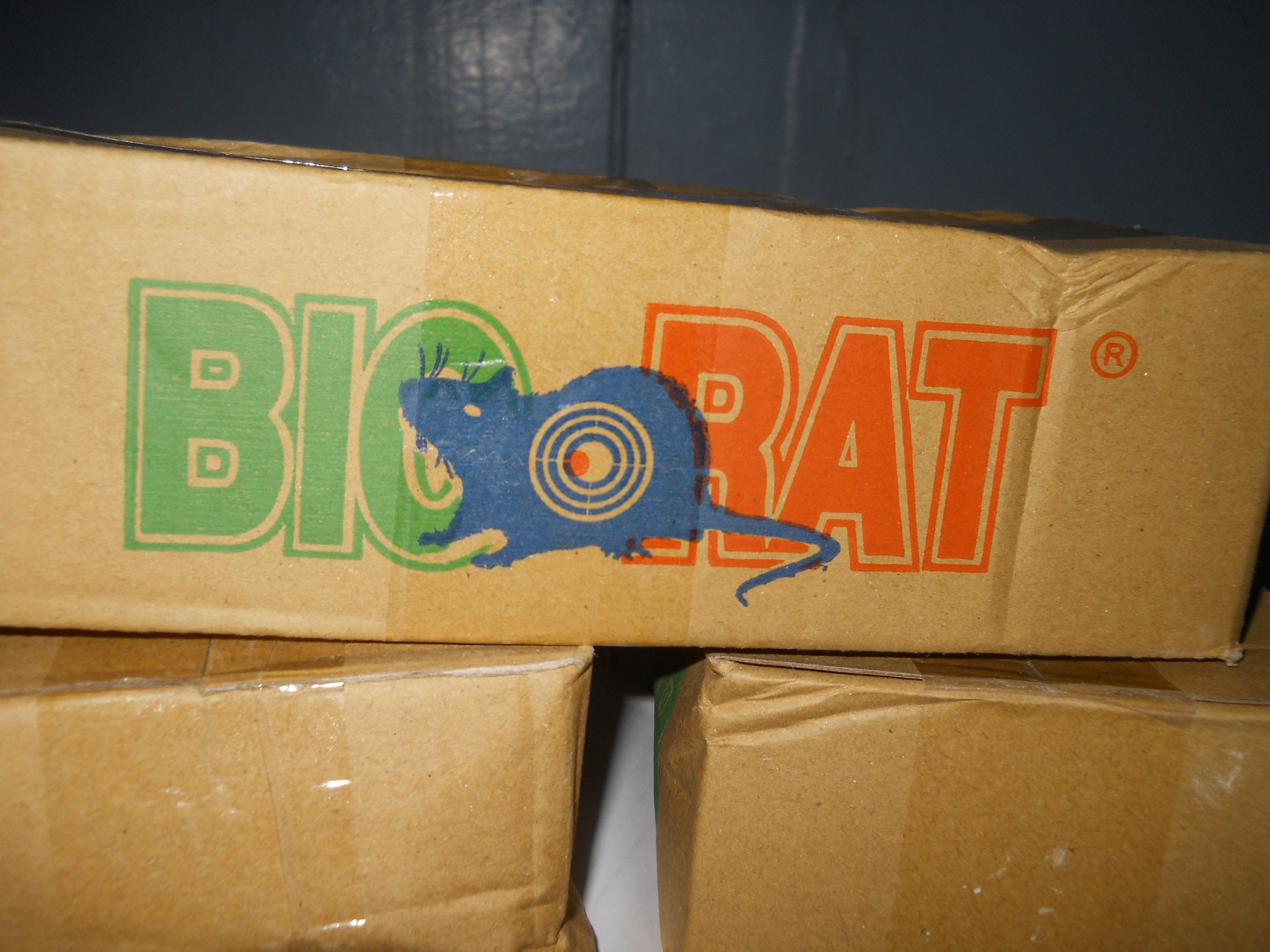 Nicaragua toma medidas contra la leptospirosis