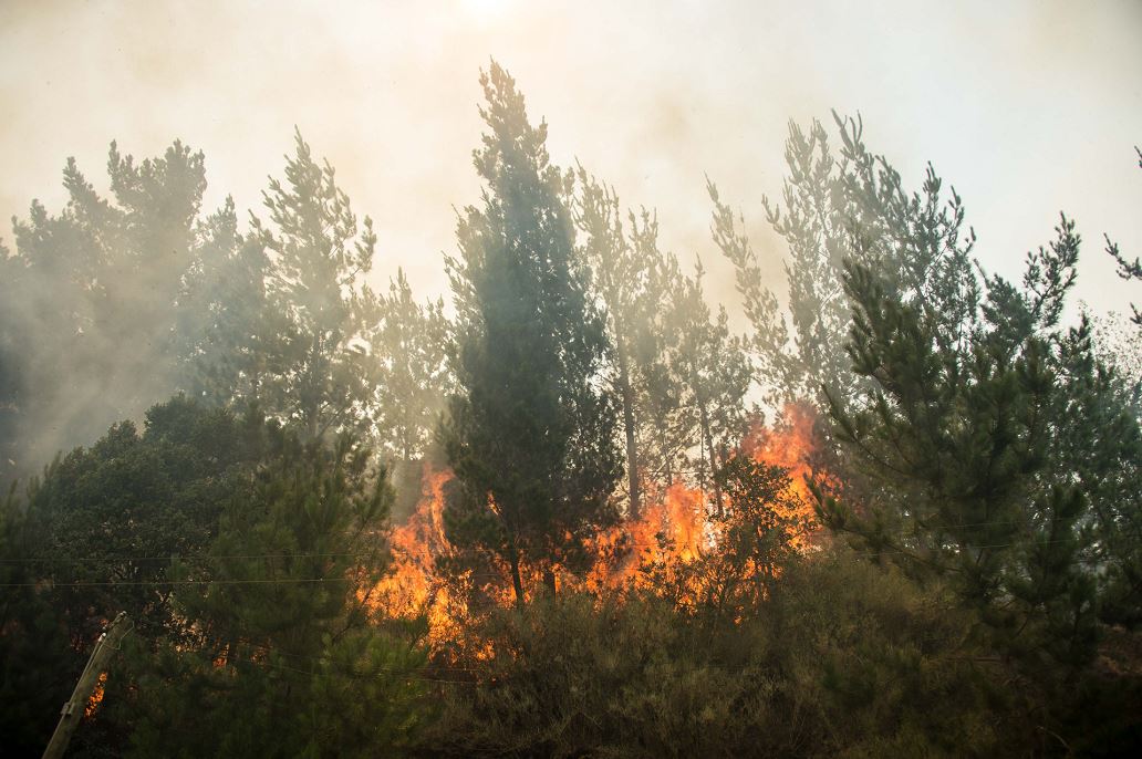 Asciende a diez el número de muertos por incendios en Chile