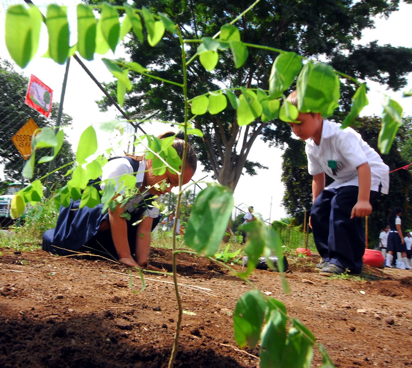 Medio ambiente no es una prioridad para el régimen orteguista