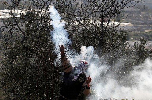 protestas, Palestina