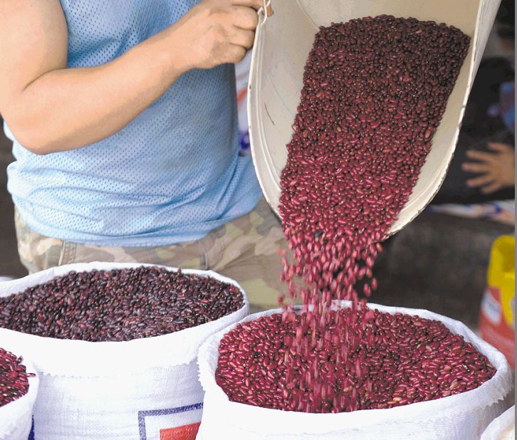 ¿Qué debe hacer el régimen orteguista para evitar un aumento en el precio del frijol?