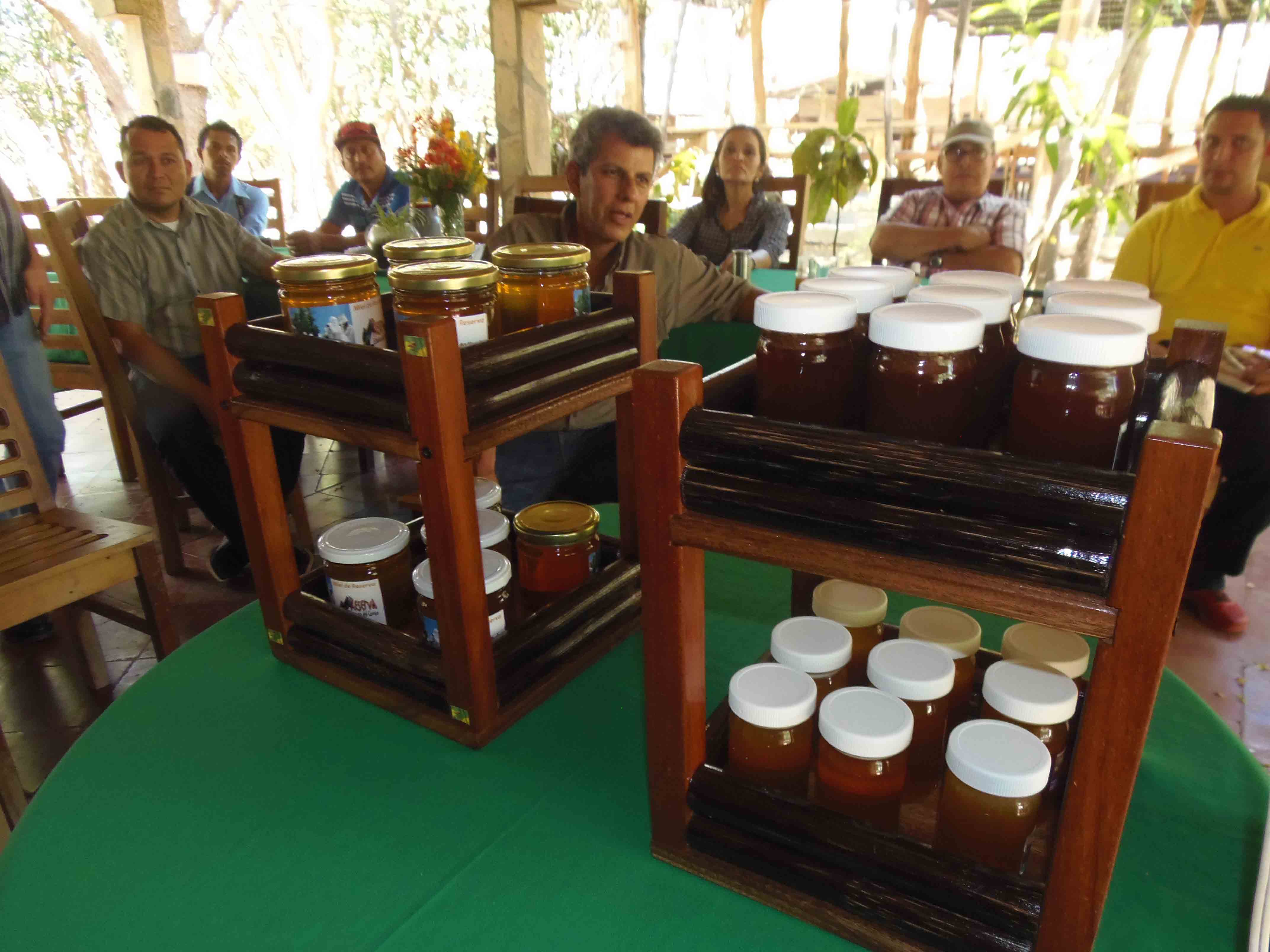 Apuestan al turismo y a la apicultura