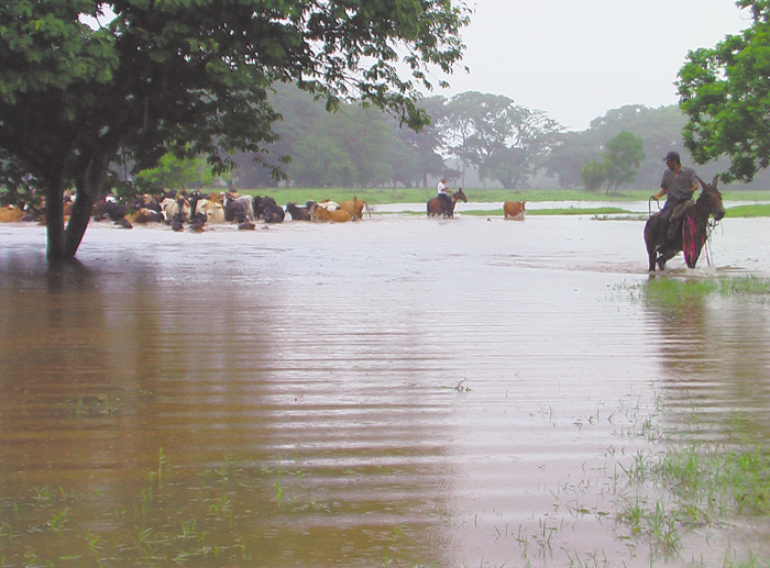 Productores aprenden a medir el clima para evitar pérdidas