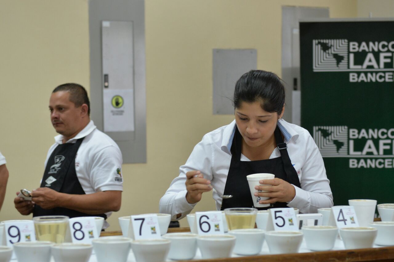 Inicia elección del mejor café del país