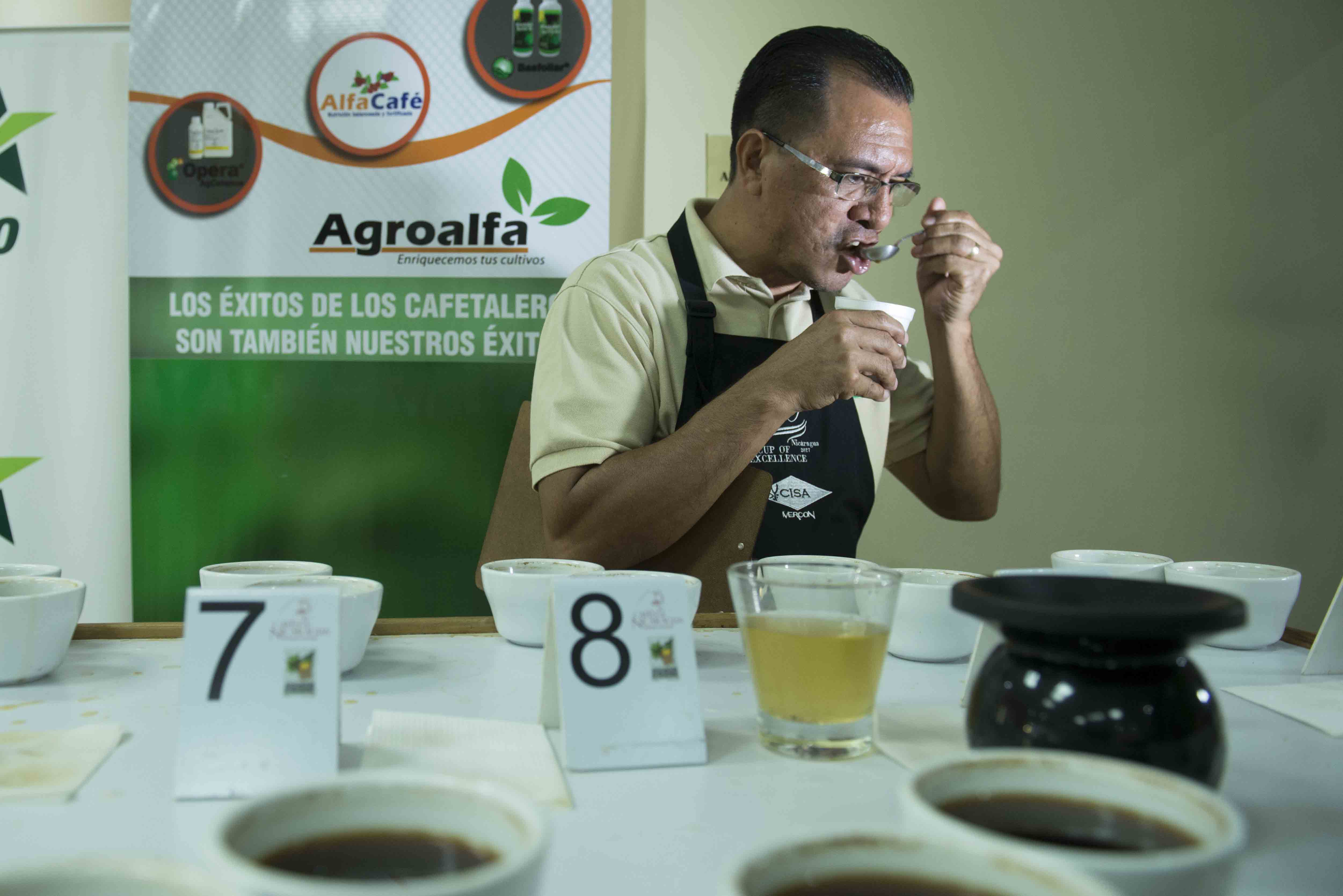 Inicia XIV edición de la Taza de la Excelencia