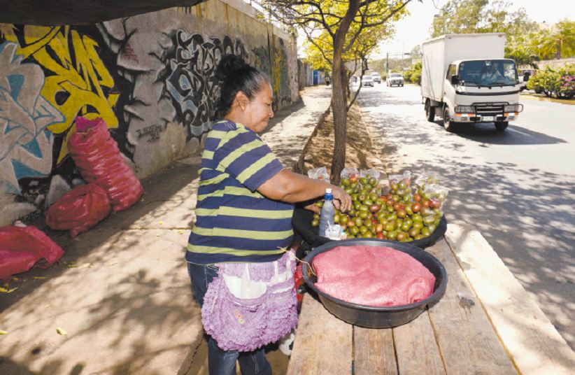 El laberinto del votante de la oposición en Nicaragua